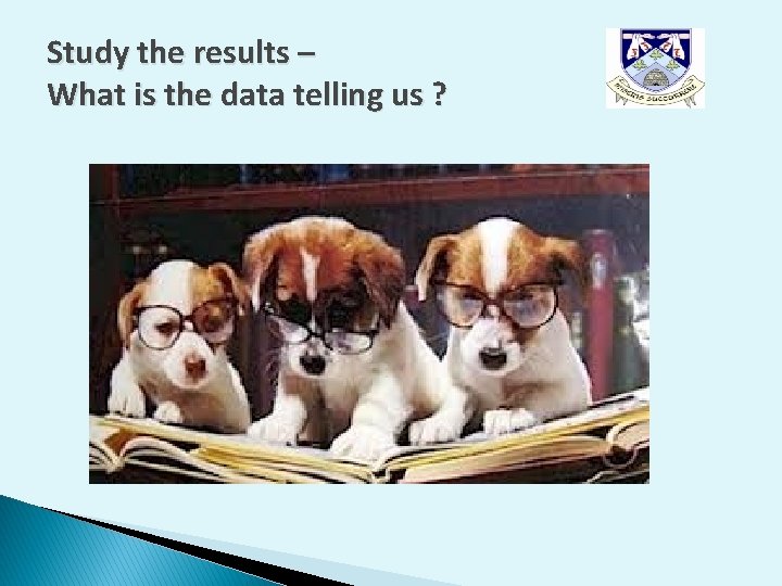 Study the results – What is the data telling us ? Study the results – What is the data telling us ?