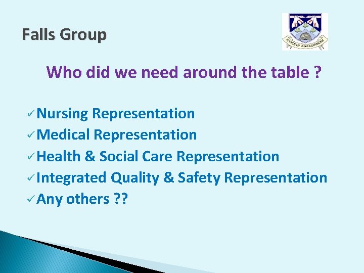 Falls Group Who did we need around the table ? ü Nursing Representation ü Falls Group Who did we need around the table ? ü Nursing Representation ü