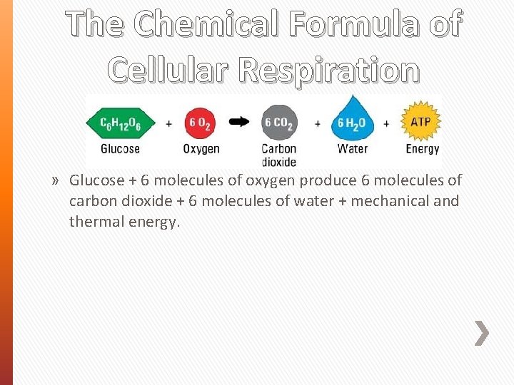 The Chemical Formula of Cellular Respiration » Glucose + 6 molecules of oxygen produce