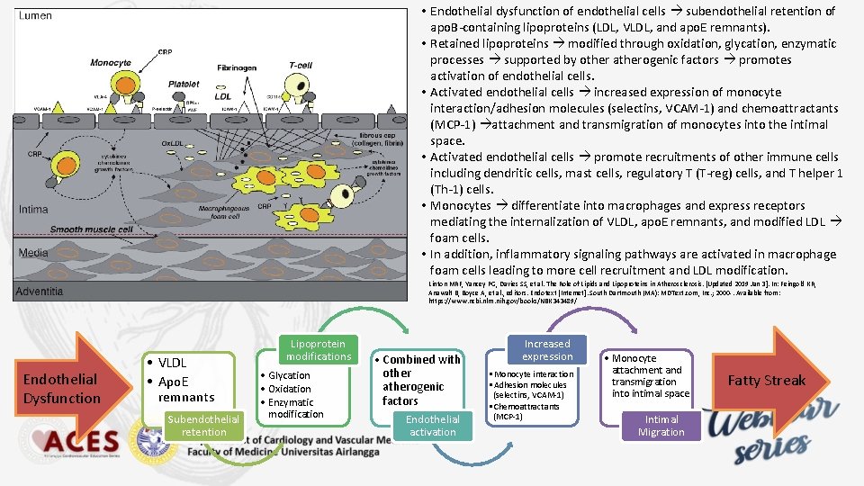 ATHEROSCLEROSIS OUTLINE DEFINITION NORMAL ARTERIAL WALL PROCESS OF