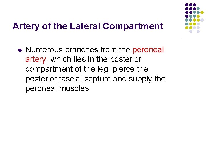 Artery of the Lateral Compartment l Numerous branches from the peroneal artery, which lies Artery of the Lateral Compartment l Numerous branches from the peroneal artery, which lies