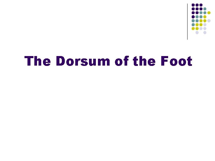 The Dorsum of the Foot The Dorsum of the Foot