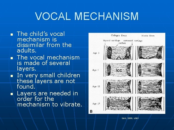 VOCAL MECHANISM n n The child’s vocal mechanism is dissimilar from the adults. The