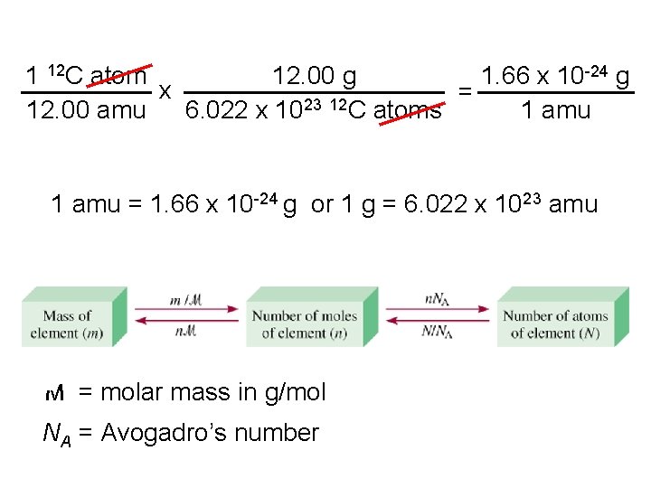 1 12 C atom 12. 00 g 1. 66 x 10 -24 g x