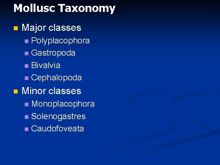 Mollusc Taxonomy n Major classes Polyplacophora n Gastropoda n Bivalvia n Cephalopoda n n