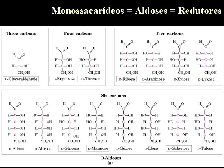 Monossacarídeos = Aldoses = Redutores 