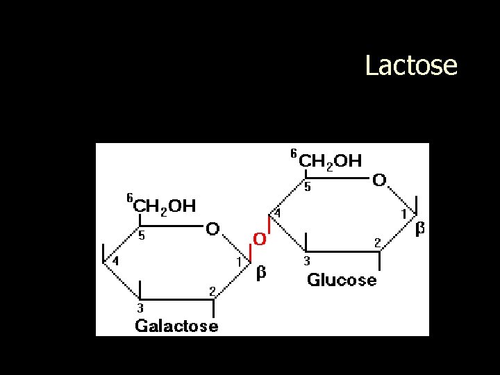 Lactose 