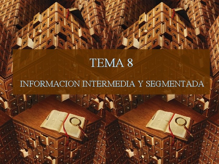 TEMA 8 INFORMACION INTERMEDIA Y SEGMENTADA 