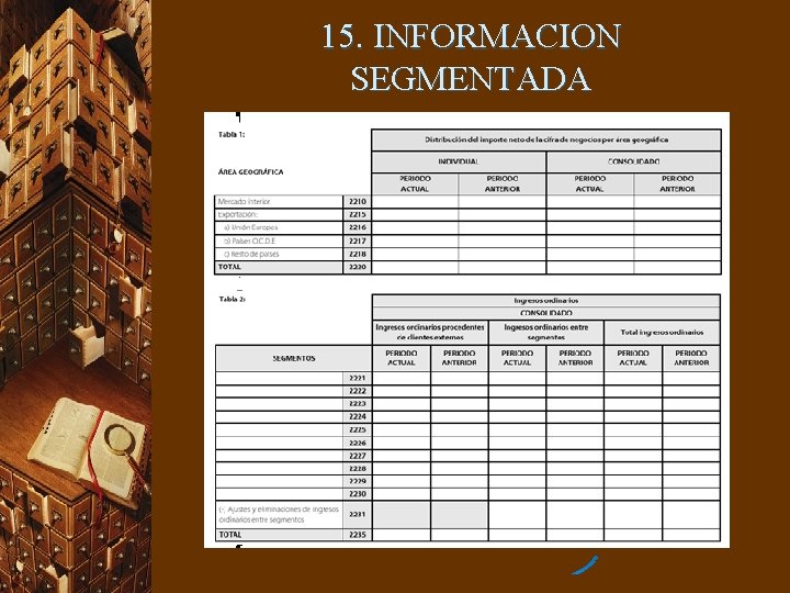 15. INFORMACION SEGMENTADA 