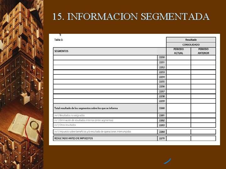 15. INFORMACION SEGMENTADA 