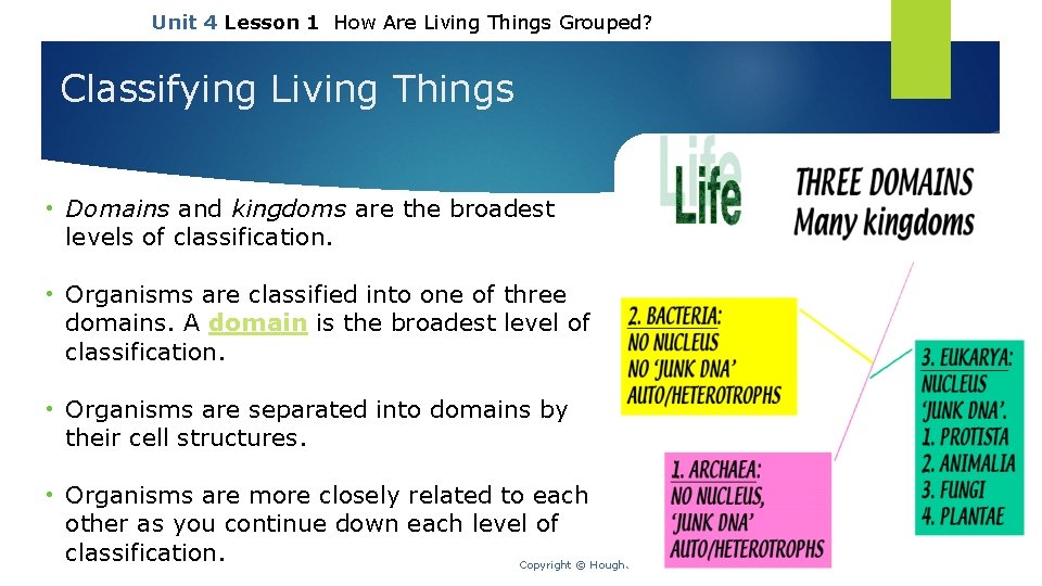 Unit 4 Lesson 1 How Are Living Things Grouped? Classifying Living Things • Domains