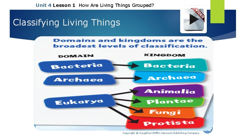 Unit 4 Lesson 1 How Are Living Things Grouped? Classifying Living Things Copyright ©