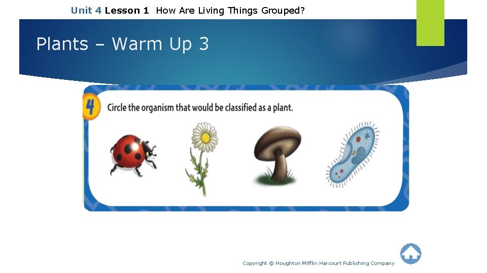 Unit 4 Lesson 1 How Are Living Things Grouped? Plants – Warm Up 3