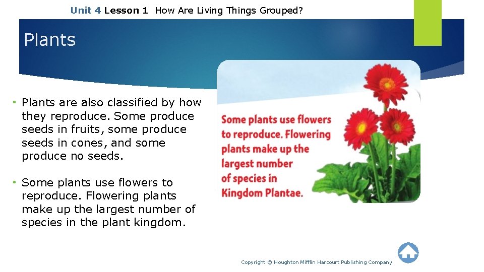 Unit 4 Lesson 1 How Are Living Things Grouped? Plants • Plants are also