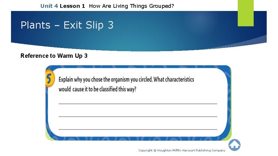 Unit 4 Lesson 1 How Are Living Things Grouped? Plants – Exit Slip 3