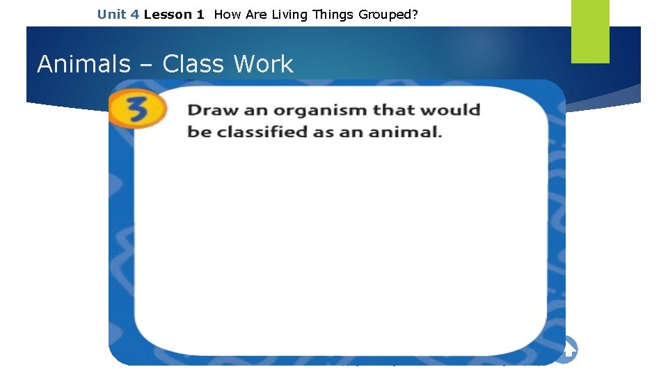 Unit 4 Lesson 1 How Are Living Things Grouped? Animals – Class Work Copyright