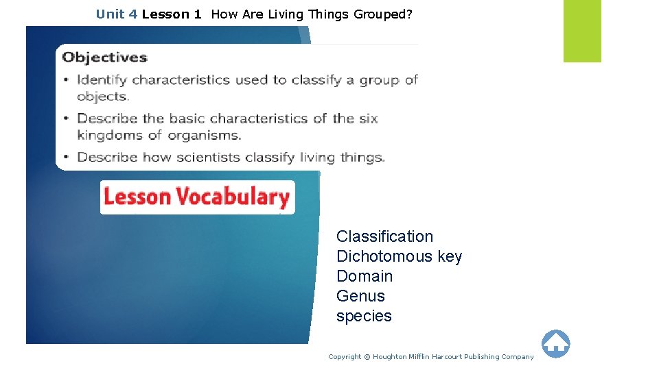 Unit 4 Lesson 1 How Are Living Things Grouped? Classification Dichotomous key Domain Genus