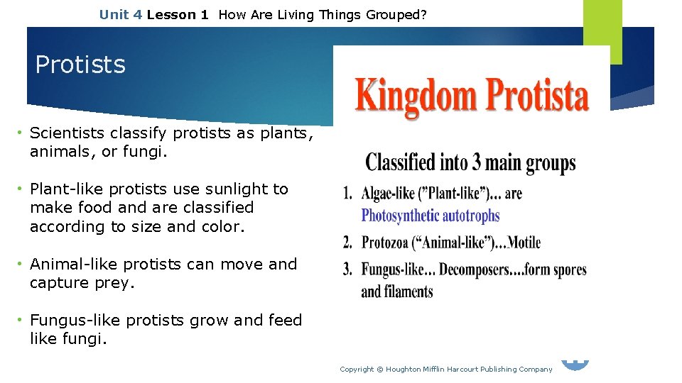 Unit 4 Lesson 1 How Are Living Things Grouped? Protists • Scientists classify protists