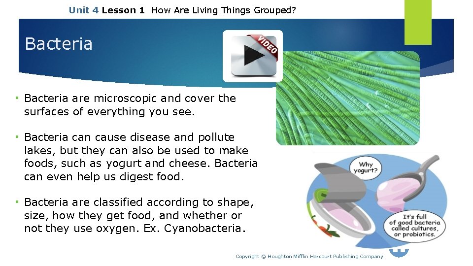 Unit 4 Lesson 1 How Are Living Things Grouped? Bacteria • Bacteria are microscopic