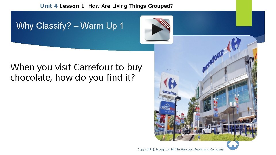 Unit 4 Lesson 1 How Are Living Things Grouped? Why Classify? – Warm Up