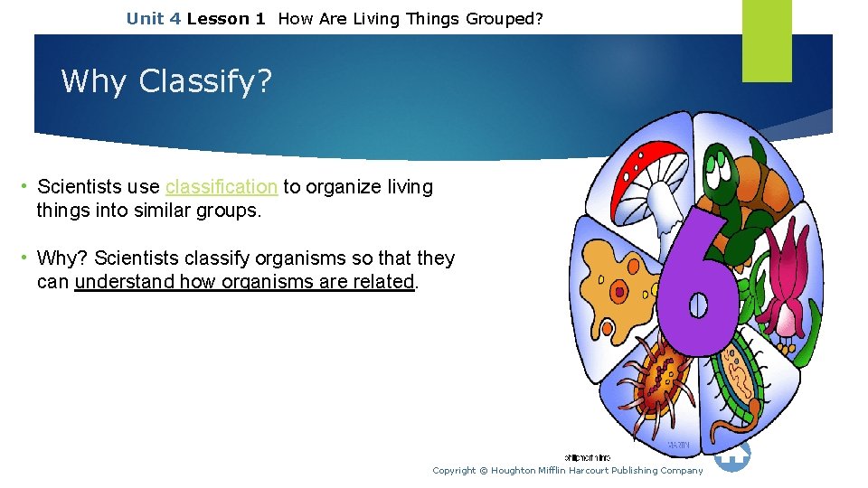 Unit 4 Lesson 1 How Are Living Things Grouped? Why Classify? • Scientists use