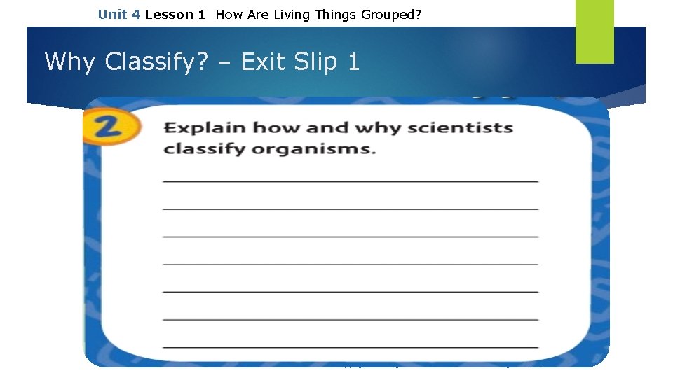 Unit 4 Lesson 1 How Are Living Things Grouped? Why Classify? – Exit Slip