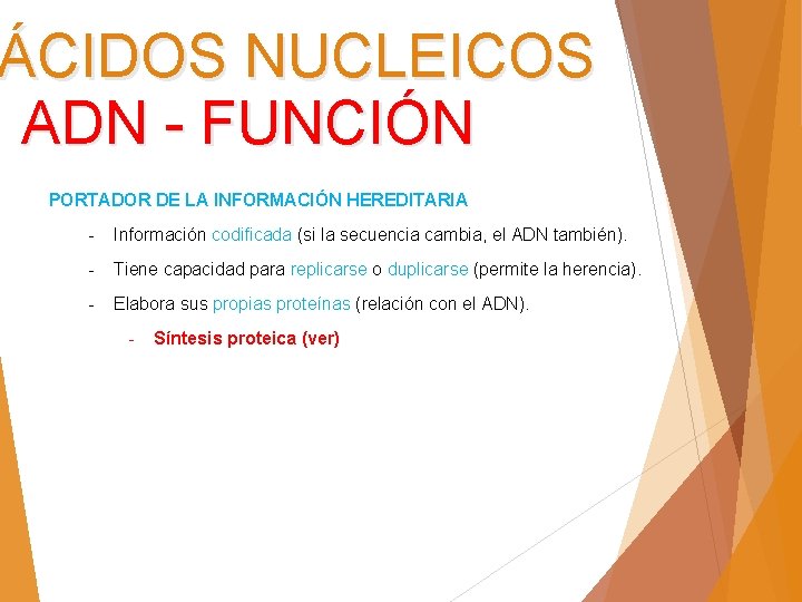 ÁCIDOS NUCLEICOS ADN - FUNCIÓN PORTADOR DE LA INFORMACIÓN HEREDITARIA - Información codificada (si