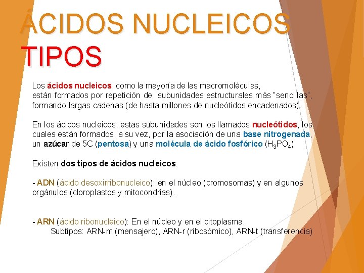 ÁCIDOS NUCLEICOS TIPOS Los ácidos nucleicos, como la mayoría de las macromoléculas, están formados