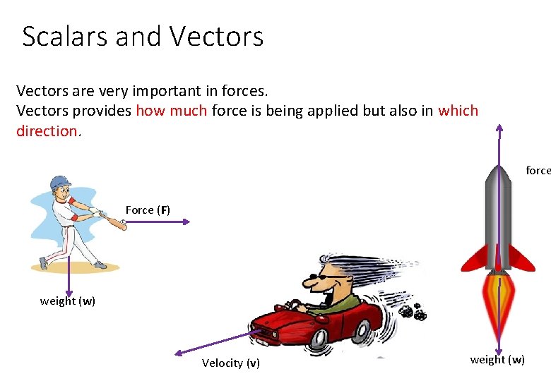 Scalars and Vectors are very important in forces. Vectors provides how much force is