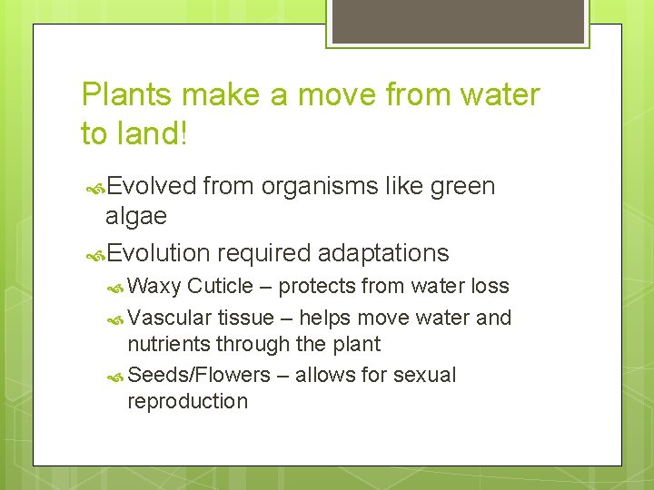 Plants make a move from water to land! Evolved from organisms like green algae