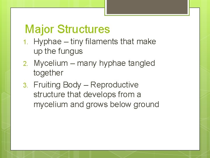 Major Structures 1. 2. 3. Hyphae – tiny filaments that make up the fungus