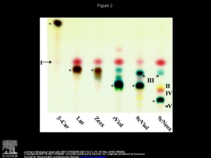 Figure 2 Journal of Biological Chemistry 2001 27625208 -25211 DOI: (10. 1074/jbc. M 102146200)