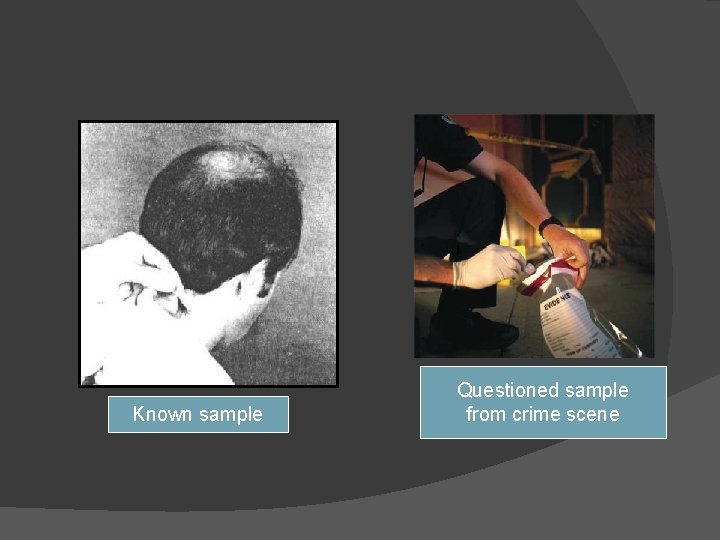 Known sample Questioned sample from crime scene 
