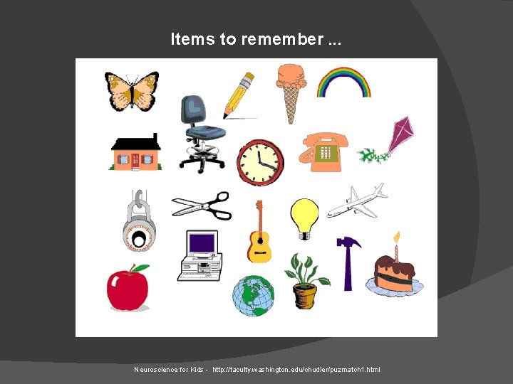 Items to remember. . . Neuroscience for Kids - http: //faculty. washington. edu/chudler/puzmatch 1.
