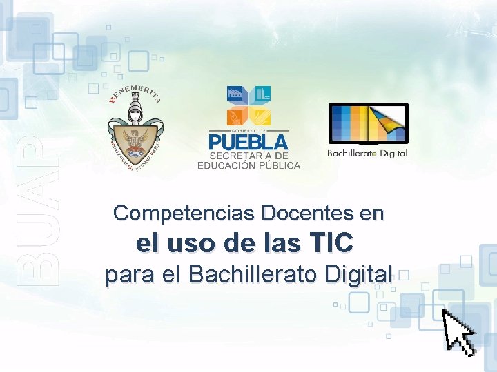 Competencias Docentes en el uso de las TIC para el Bachillerato Digital Esta obra