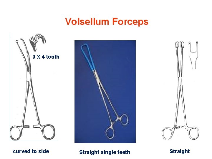 Volsellum Forceps 3 X 4 tooth curved to side Straight single teeth Straight 