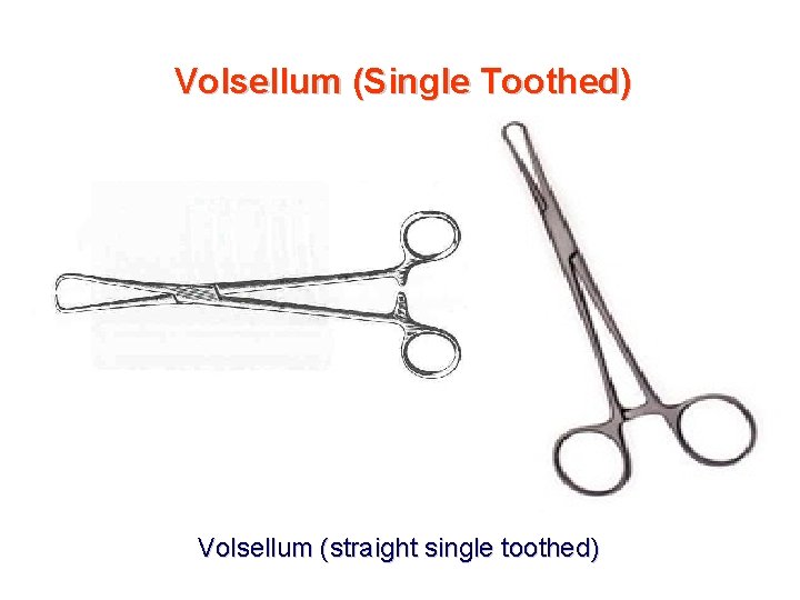 Volsellum (Single Toothed) Volsellum (straight single toothed) 