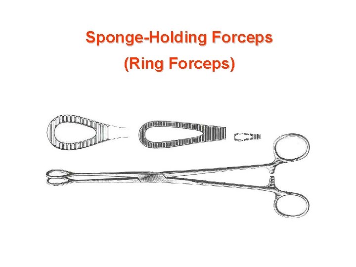 Sponge-Holding Forceps (Ring Forceps) 