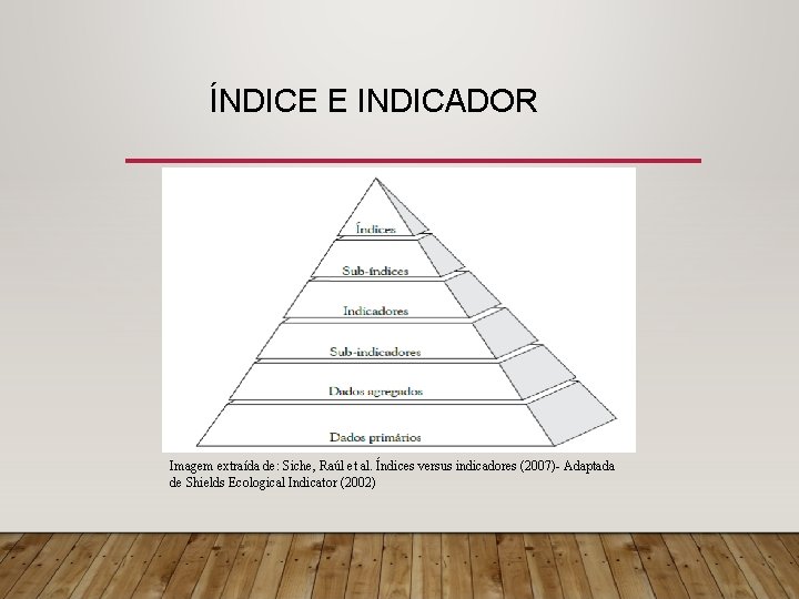 ÍNDICE E INDICADOR Imagem extraída de: Siche, Raúl et al. Índices versus indicadores (2007)-
