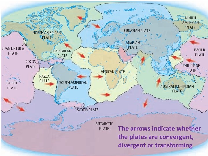 The arrows indicate whether the plates are convergent, divergent or transforming The arrows indicate whether the plates are convergent, divergent or transforming
