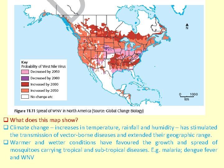 q What does this map show? q Climate change – increases in temperature, rainfall