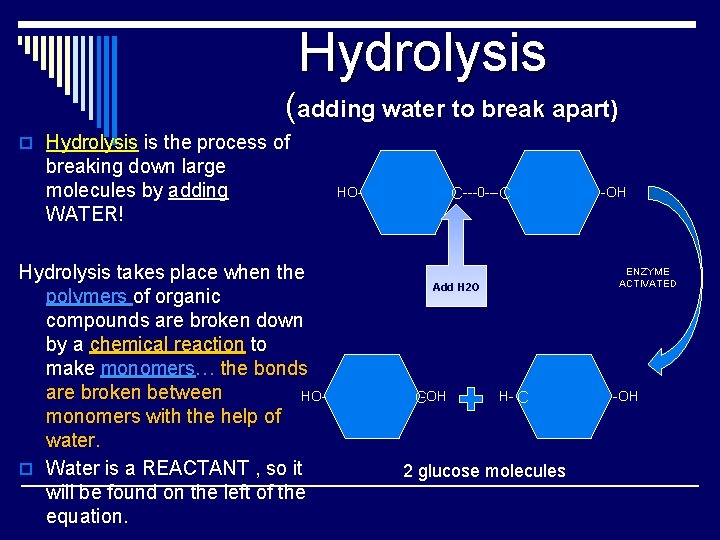 Hydrolysis (adding water to break apart) o Hydrolysis is the process of breaking down