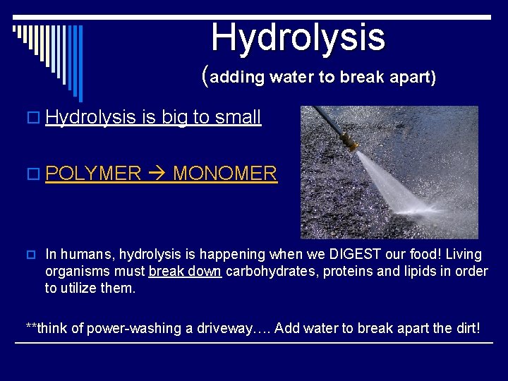 Hydrolysis (adding water to break apart) o Hydrolysis is big to small o POLYMER