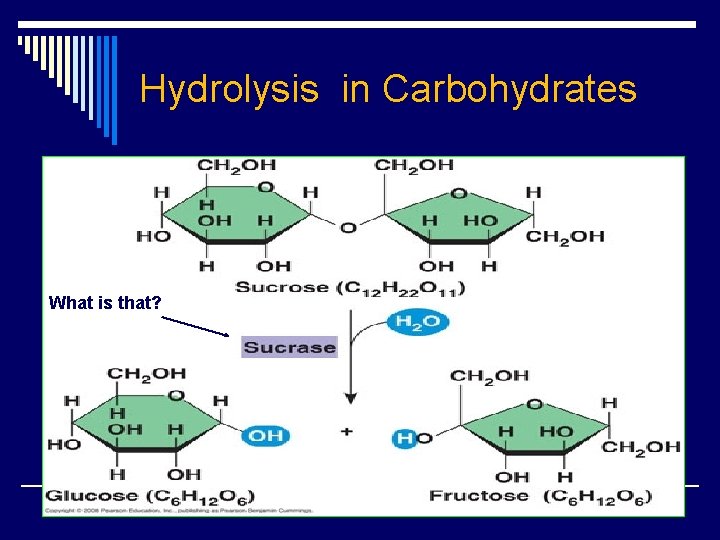 Hydrolysis in Carbohydrates What is that? 
