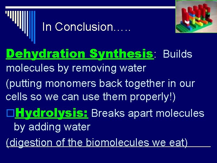 In Conclusion…. . Dehydration Synthesis: Builds molecules by removing water (putting monomers back together