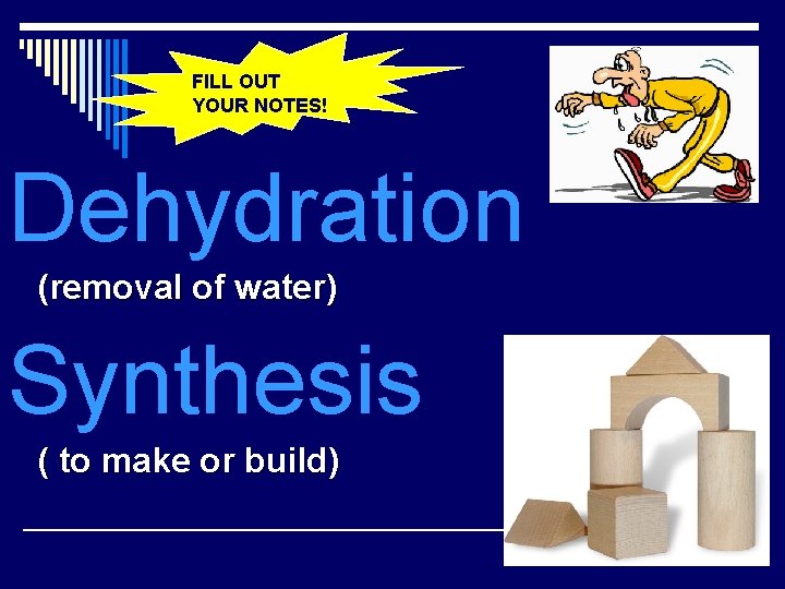 FILL OUT YOUR NOTES! Dehydration (removal of water) Synthesis ( to make or build)