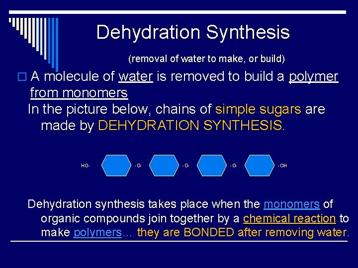 Dehydration Synthesis (removal of water to make, or build) o A molecule of water