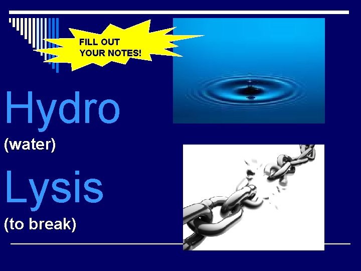 FILL OUT YOUR NOTES! Hydro (water) Lysis (to break) 