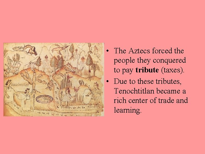  • The Aztecs forced the people they conquered to pay tribute (taxes). •