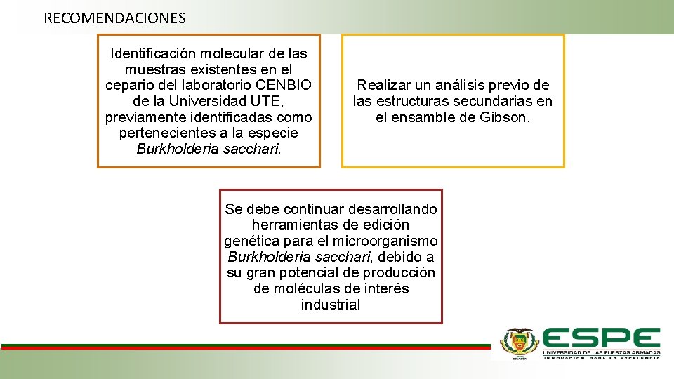 RECOMENDACIONES Identificación molecular de las muestras existentes en el cepario del laboratorio CENBIO de